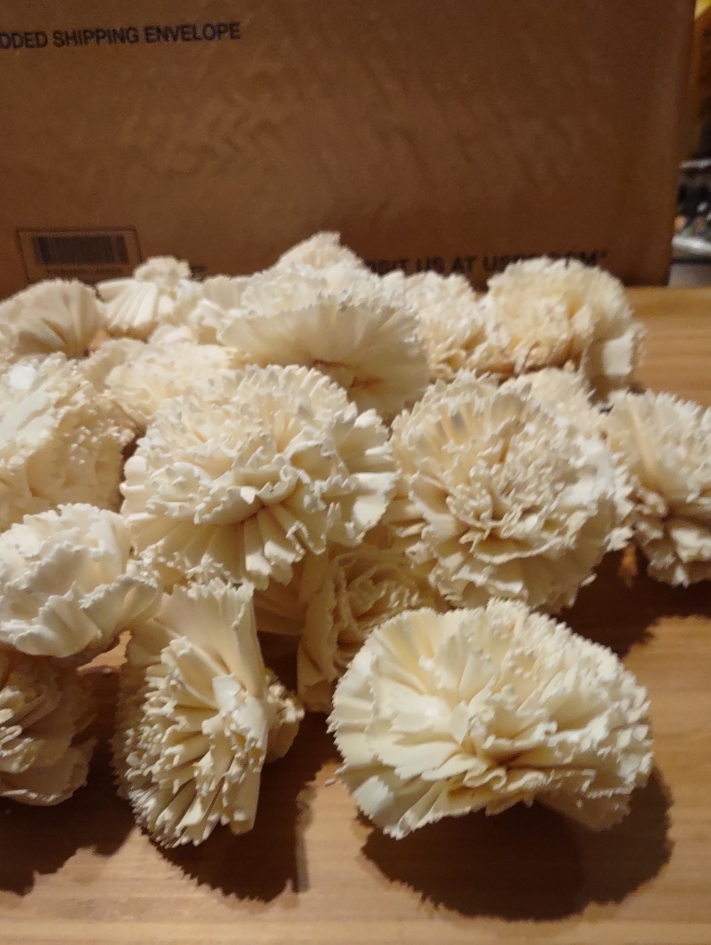 Carnations Sola Wood Flowers 25 Ct.